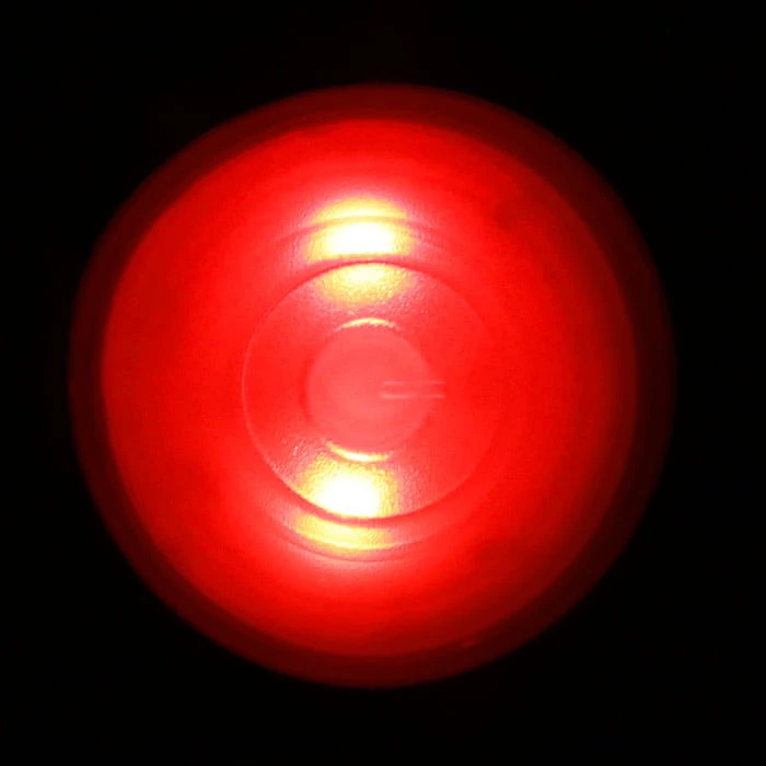 6684_26261